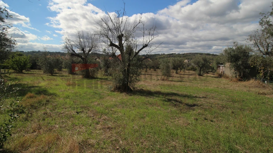 Quinta T1 para Venda em Rio Torto e Lagarinhos Foto 12