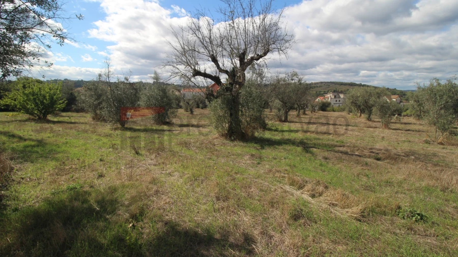 Quinta T1 para Venda em Rio Torto e Lagarinhos Foto 10