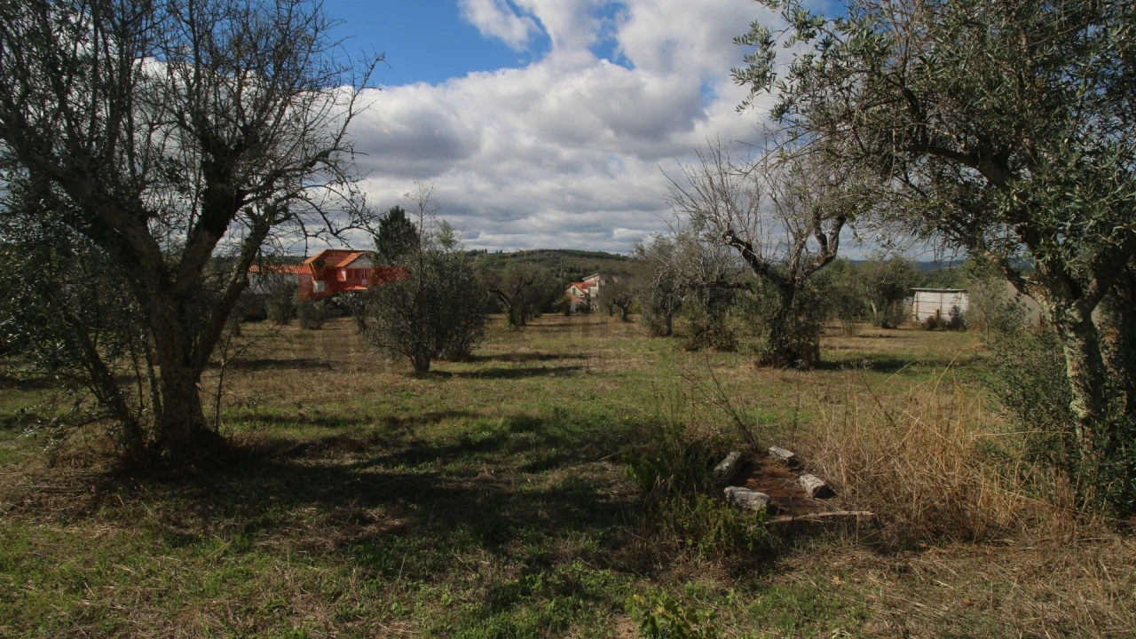 Quinta T1 para Venda em Rio Torto e Lagarinhos Foto 8
