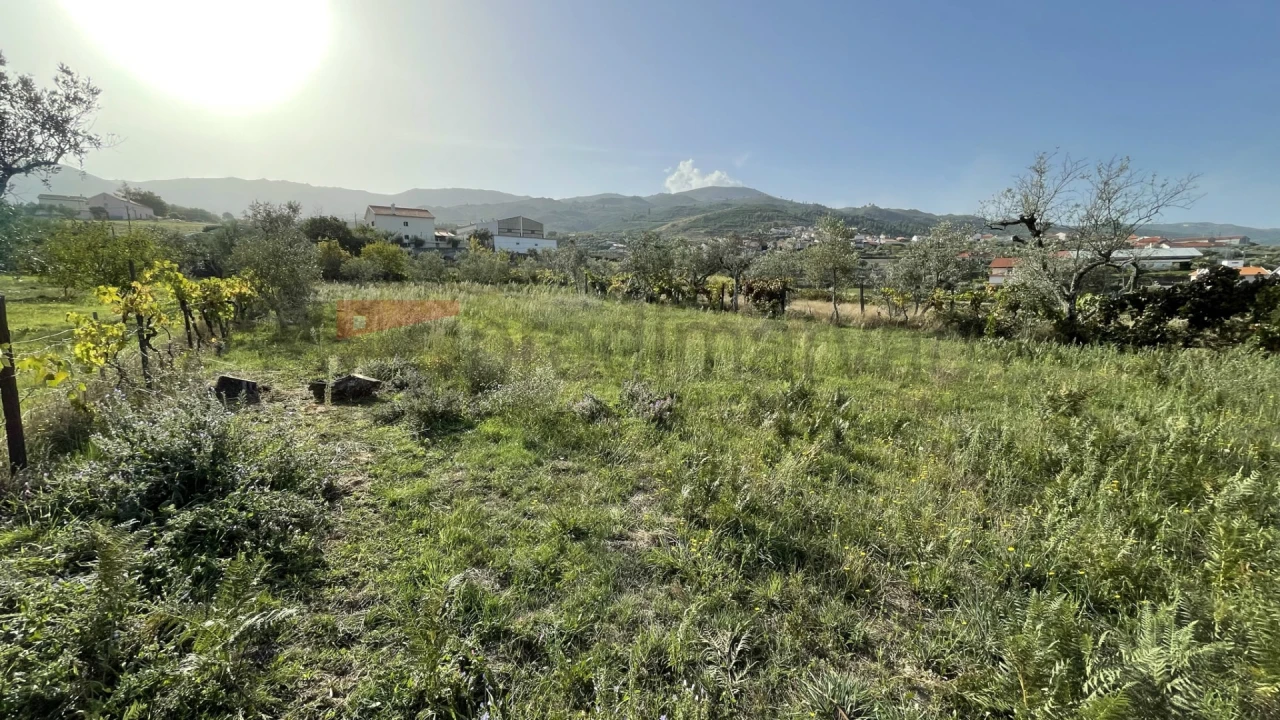 Terreno Agricola ou Rústico para Venda em Paços da Serra Foto 6