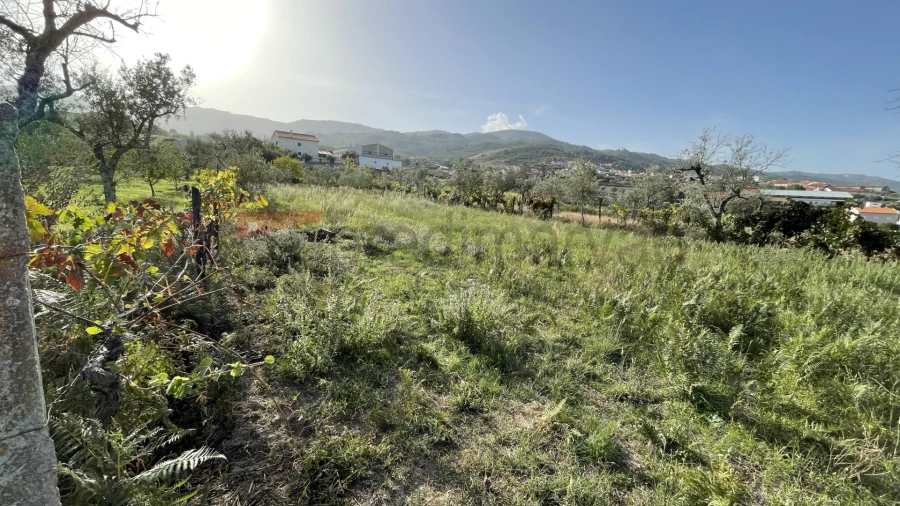 Terreno Agricola ou Rústico para Venda em Paços da Serra Foto 3