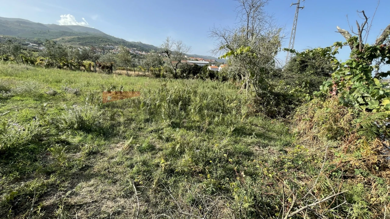 Terreno Agricola ou Rústico para Venda em Paços da Serra Foto 4