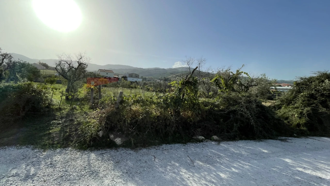 Terreno Agricola ou Rústico para Venda em Paços da Serra Foto 2
