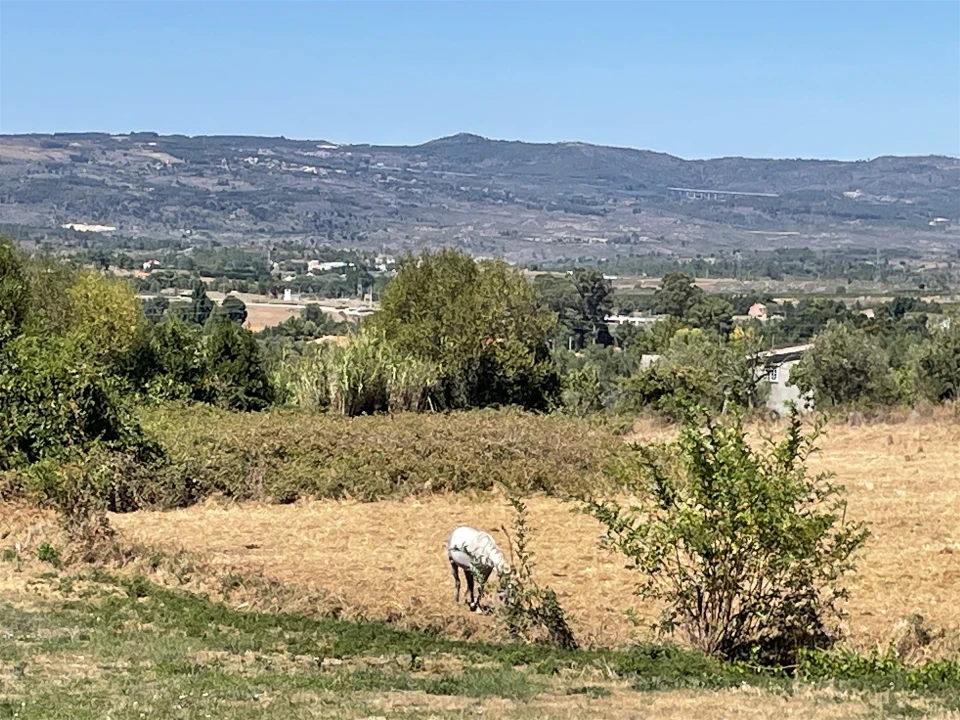 Quinta T2 para Venda em Melo e Nabais Foto 17