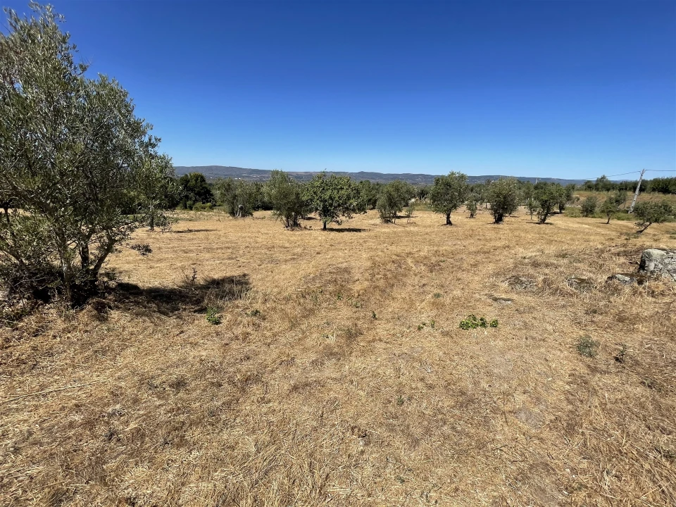 Quinta T2 para Venda em Melo e Nabais Foto 4