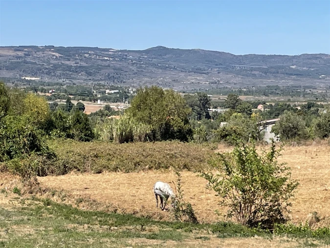 Quinta T2 para Venda em Melo e Nabais Foto 17