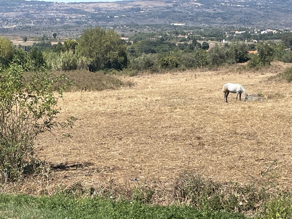 Quinta T2 para Venda em Melo e Nabais Foto 11