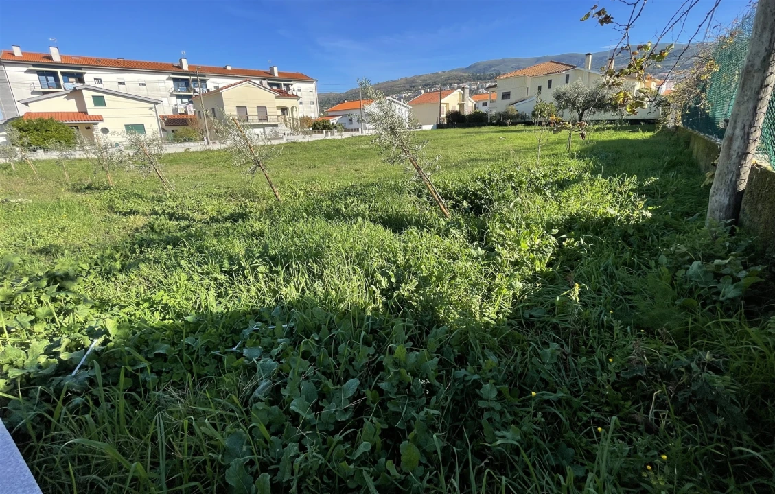 Terreno para Venda em Gouveia (São Pedro e São Julião) Foto 6