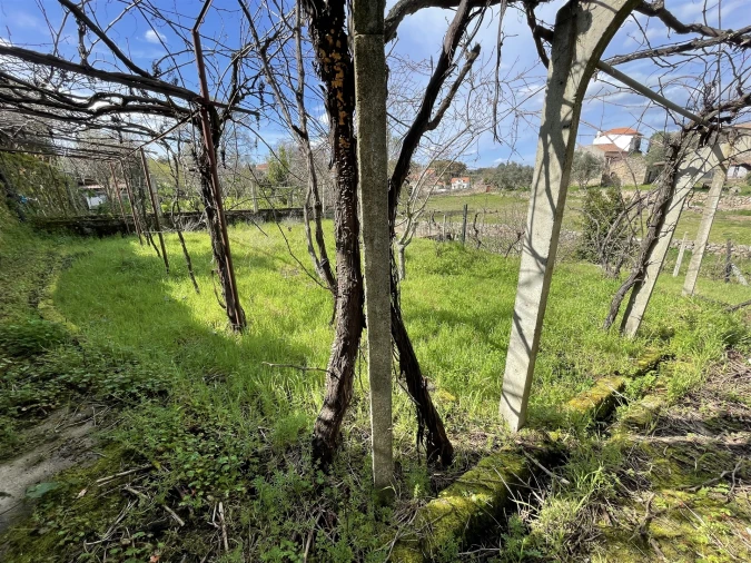 Moradia T7 para Venda em Vila Cortes da Serra Foto 5