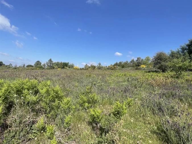 Terreno para Venda em Pinhanços Foto 8