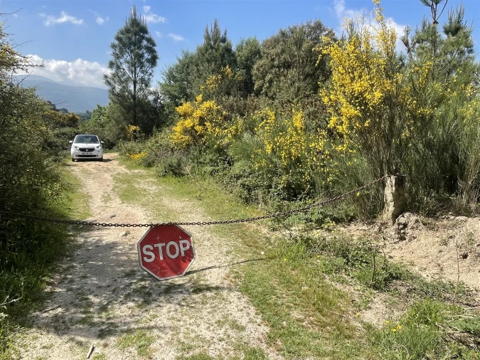 Terreno para Venda em Pinhanços Foto 9