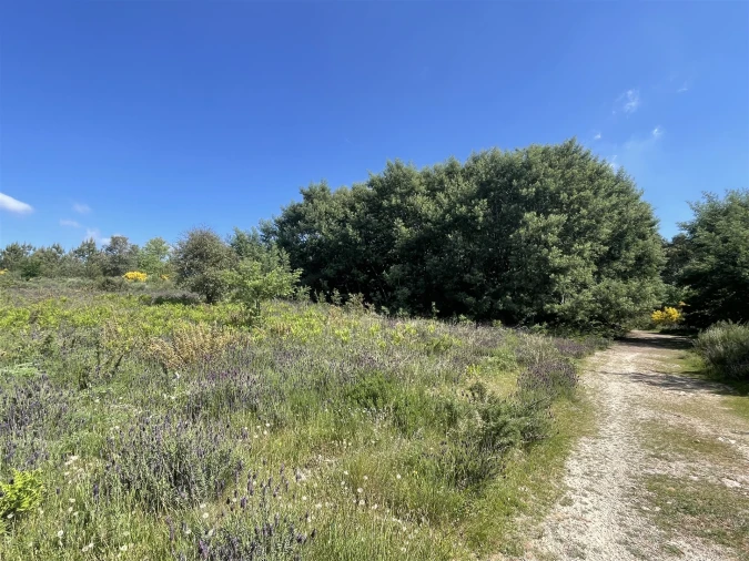 Terreno para Venda em Pinhanços Foto 5