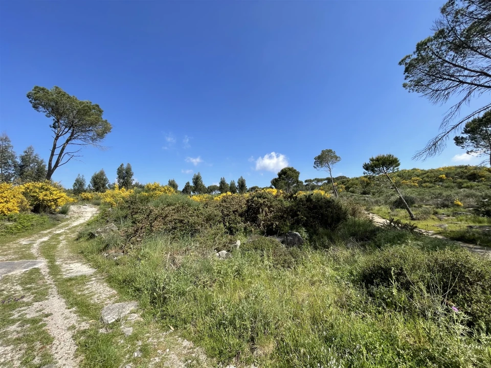 Terreno para Venda em Pinhanços Foto 4