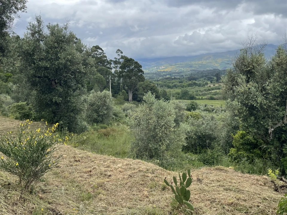 Terreno Agricola ou Rústico para Venda em Pinhanços Foto 8