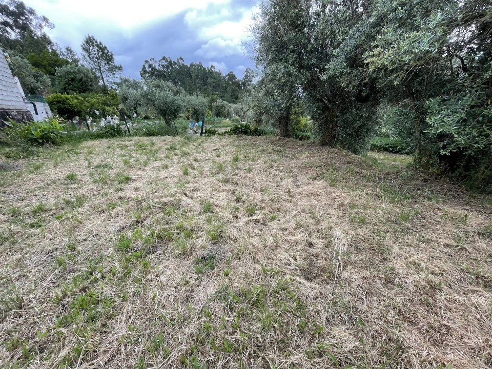 Terreno Agricola ou Rústico para Venda em Pinhanços Foto 4