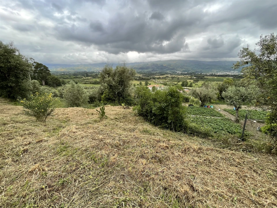 Terreno Agricola ou Rústico para Venda em Pinhanços Foto 9