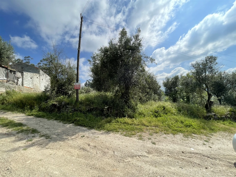 Terreno Agricola ou Rústico para Venda em Pinhanços Foto 2