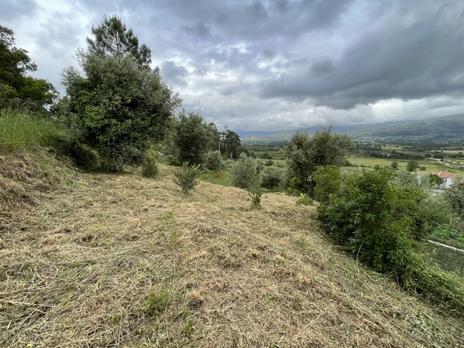 Terreno Agricola ou Rústico para Venda em Pinhanços Foto 7