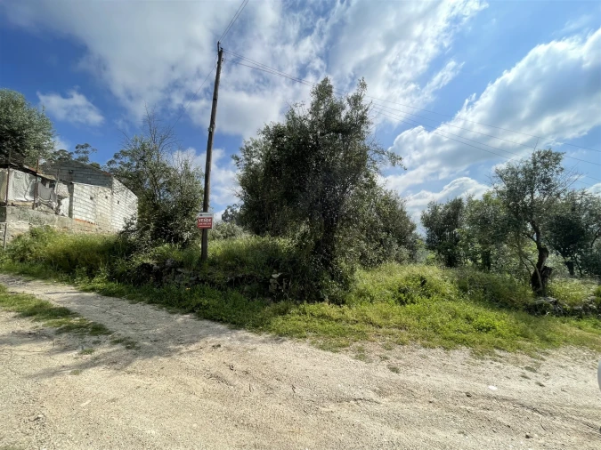 Terreno Agricola ou Rústico para Venda em Pinhanços