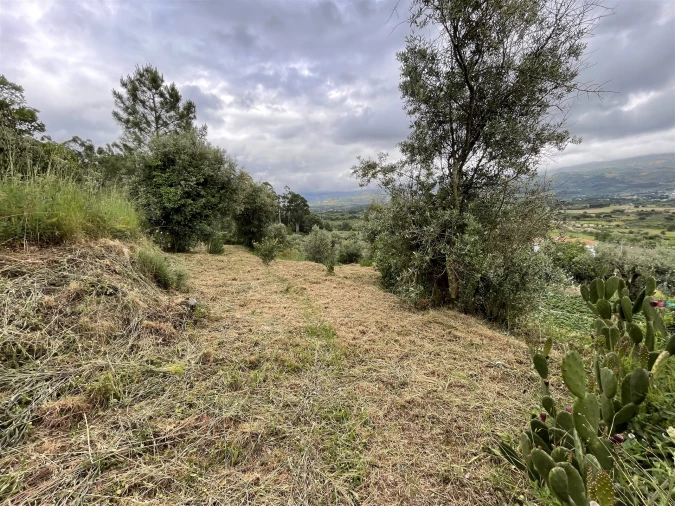 Terreno Agricola ou Rústico para Venda em Pinhanços Foto 6