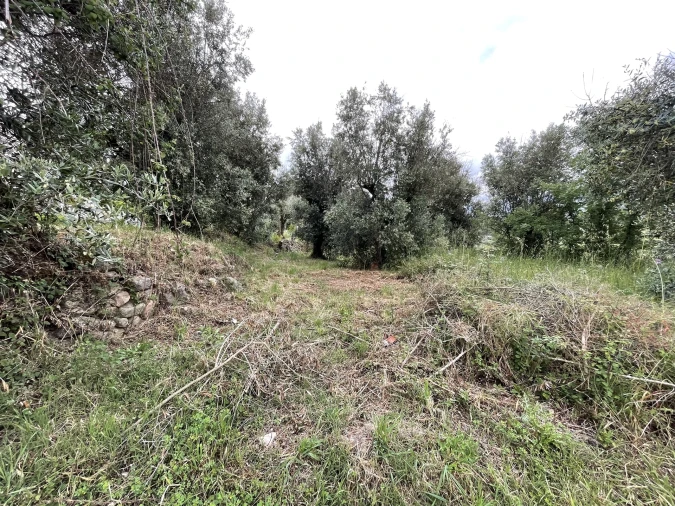 Terreno Agricola ou Rústico para Venda em Pinhanços Foto 3