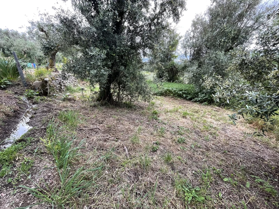 Terreno Agricola ou Rústico para Venda em Pinhanços Foto 5