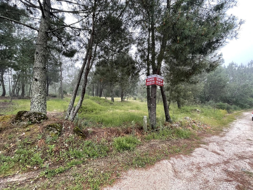 Terreno Agricola ou Rústico para Venda em Santa Comba Foto 1