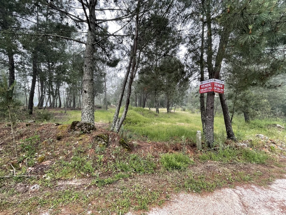 Terreno Agricola ou Rústico para Venda em Santa Comba Foto 7