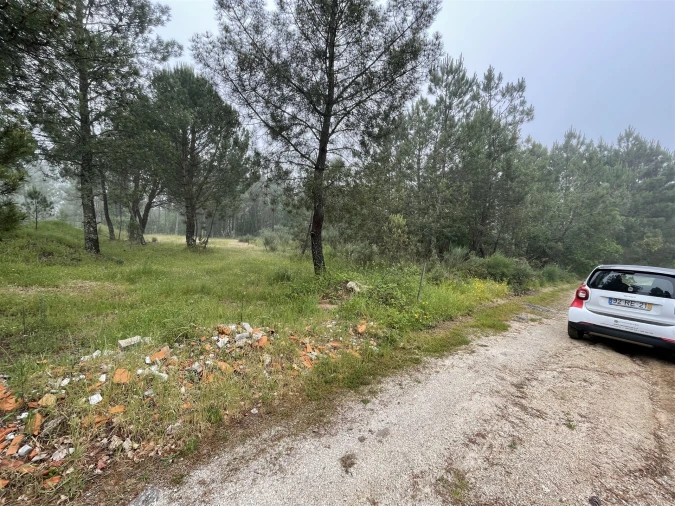 Terreno Agricola ou Rústico para Venda em Santa Comba Foto 3