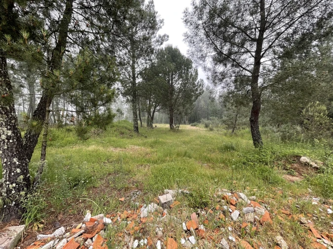 Terreno Agricola ou Rústico para Venda em Santa Comba Foto 4