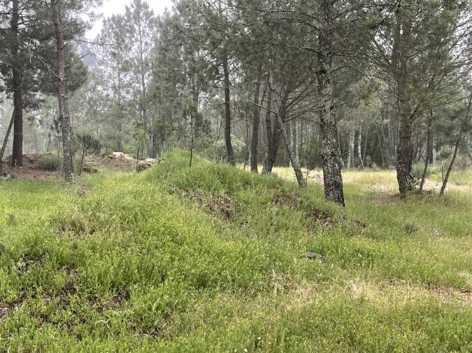 Terreno Agricola ou Rústico para Venda em Santa Comba Foto 5
