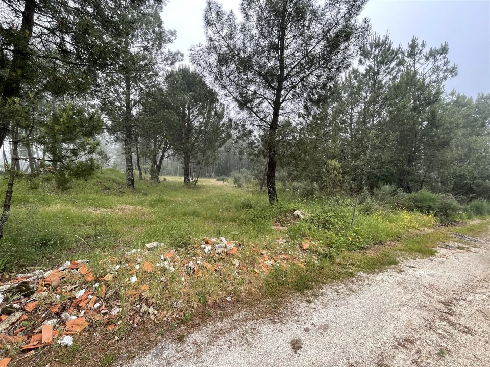Terreno Agricola ou Rústico para Venda em Santa Comba Foto 2