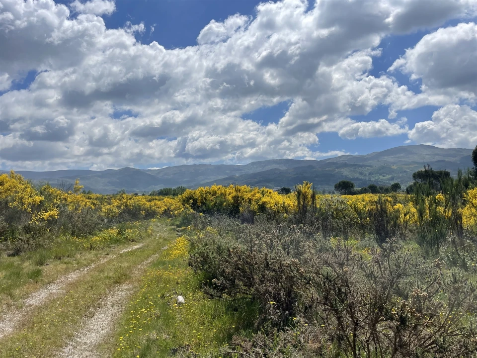 Terreno Agricola ou Rústico para Venda em Pinhanços Foto 8