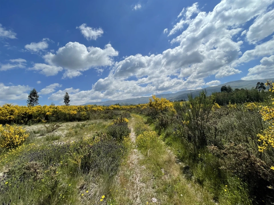 Terreno Agricola ou Rústico para Venda em Pinhanços Foto 3