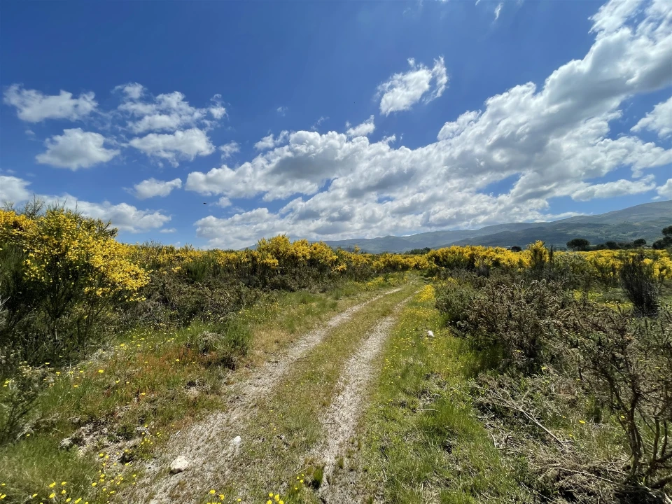 Terreno Agricola ou Rústico para Venda em Pinhanços Foto 6