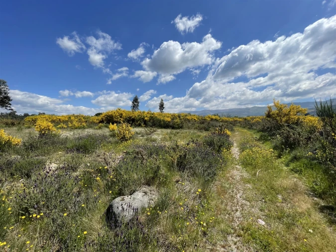Terreno Agricola ou Rústico para Venda em Pinhanços
