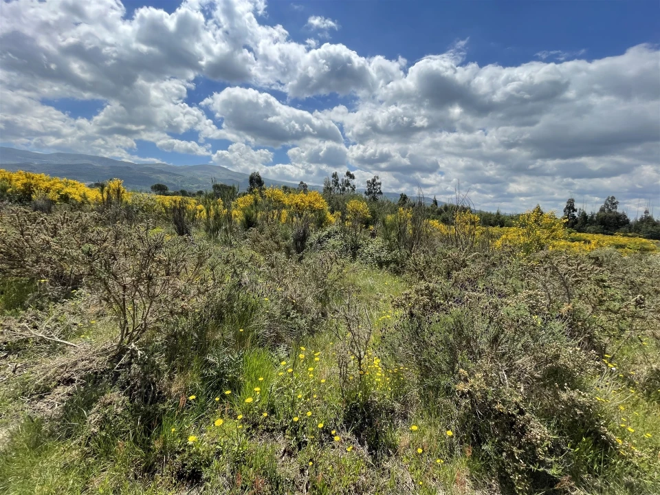 Terreno Agricola ou Rústico para Venda em Pinhanços Foto 5