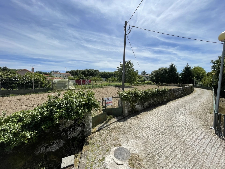 Terreno Agricola ou Rústico para Venda em Vila Nova de Tazem Foto 6
