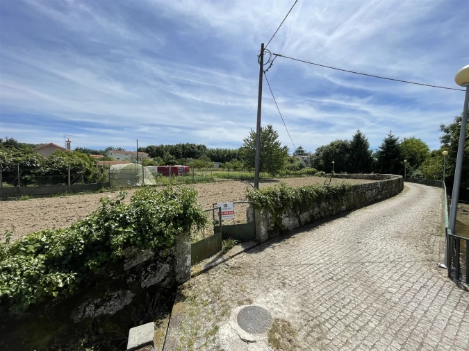 Terreno Agricola ou Rústico para Venda em Vila Nova de Tazem Foto 6