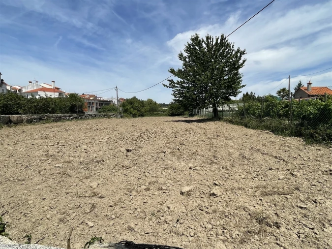 Terreno Agricola ou Rústico para Venda em Vila Nova de Tazem Foto 4