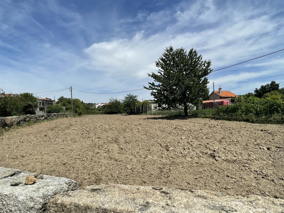 Terreno Agricola ou Rústico para Venda em Vila Nova de Tazem Foto 5