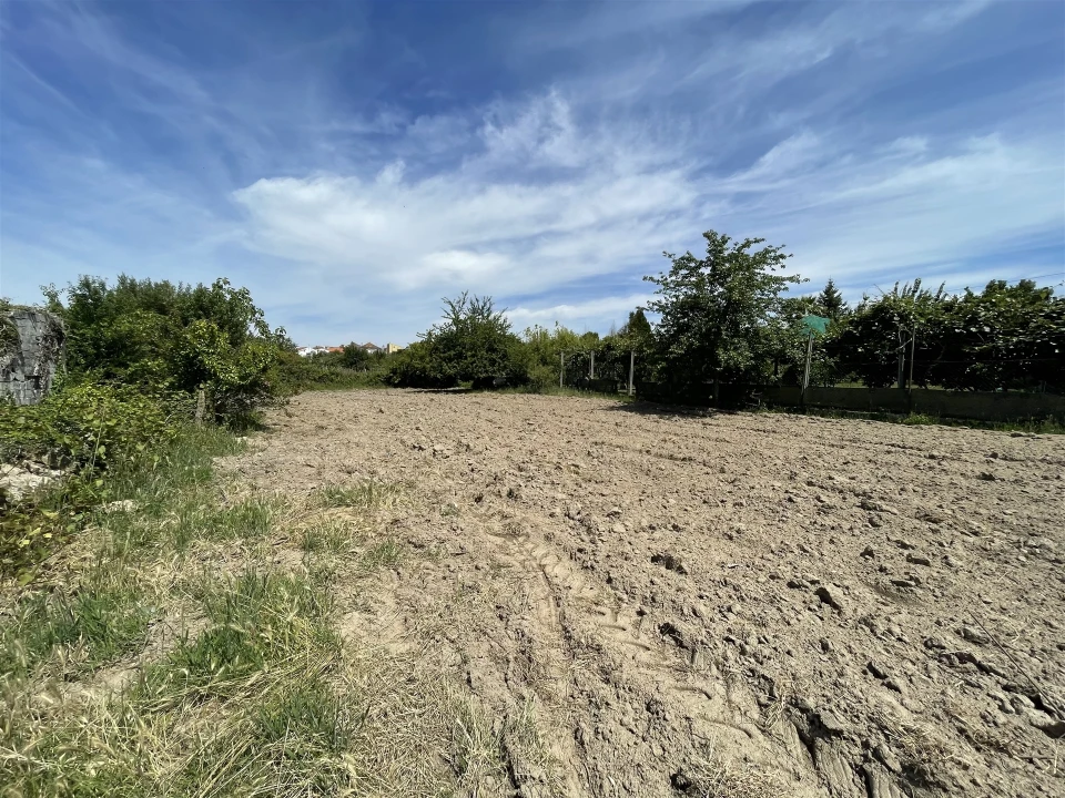 Terreno Agricola ou Rústico para Venda em Vila Nova de Tazem Foto 3
