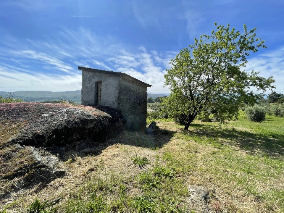 Terreno Agricola ou Rústico para Venda em Nespereira Foto 10