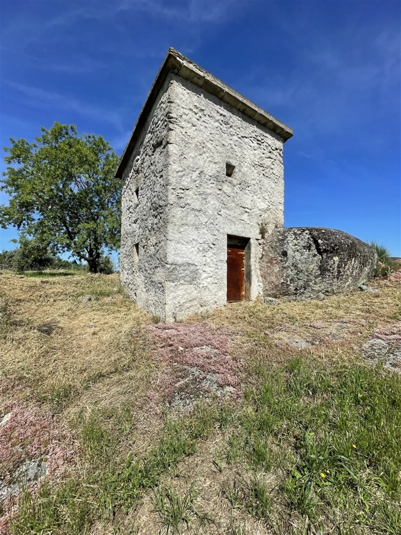Terreno Agricola ou Rústico para Venda em Nespereira Foto 2