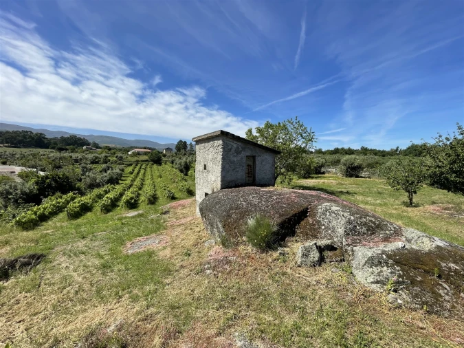 Terreno Agricola ou Rústico para Venda em Nespereira Foto 9