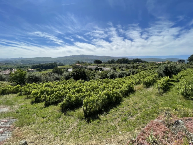 Terreno Agricola ou Rústico para Venda em Nespereira Foto 12
