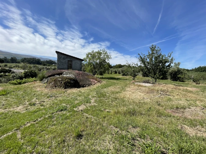 Terreno Agricola ou Rústico para Venda em Nespereira Foto 7