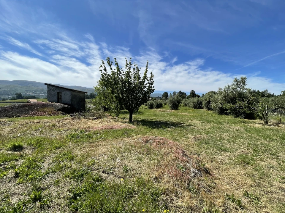 Terreno Agricola ou Rústico para Venda em Nespereira Foto 5
