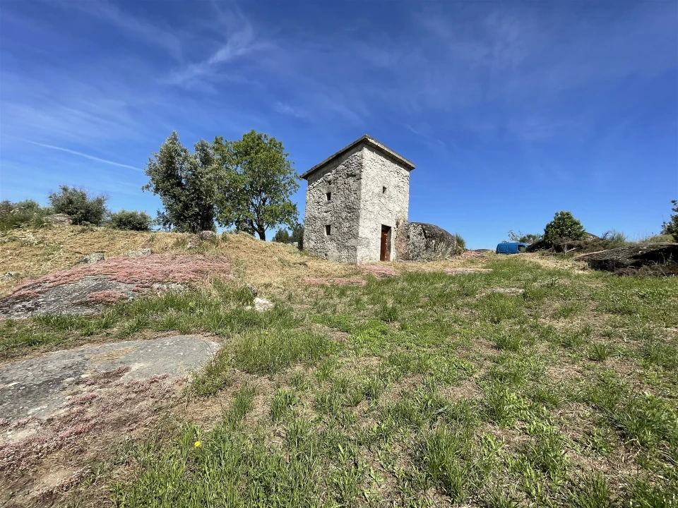 Terreno Agricola ou Rústico para Venda em Nespereira Foto 1