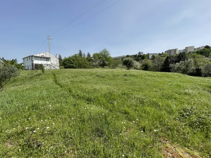Quinta T3 para Venda em Gouveia (São Pedro e São Julião) Foto 5